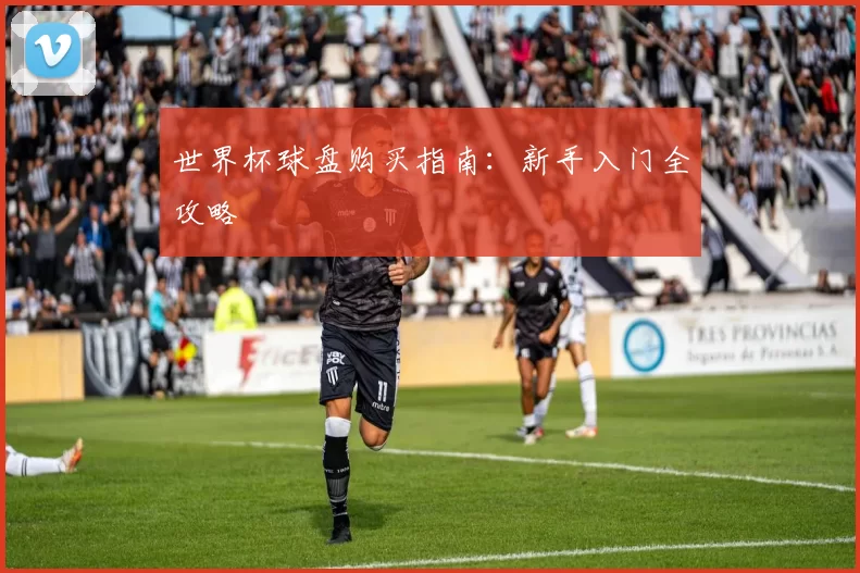 世界杯球盘购买指南:新手入门全攻略
