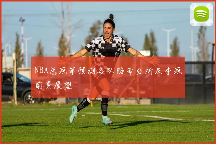 NBA总冠军预测各队赔率分析及夺冠前景展望