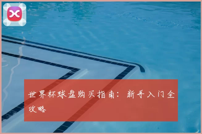 世界杯球盘购买指南：新手入门全攻略