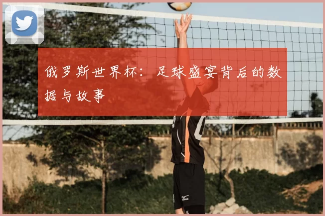 俄罗斯世界杯:足球盛宴背后的数据与故事