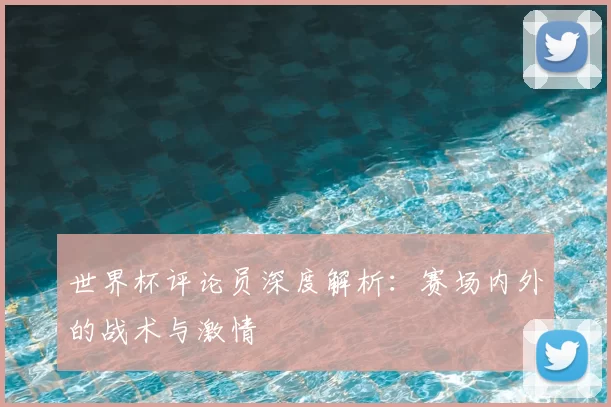 世界杯评论员深度解析:赛场内外的战术与激情