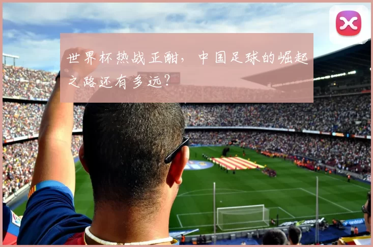 世界杯热战正酣,中国足球的崛起之路还有多远?