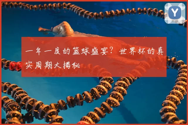 一年一度的篮球盛宴?世界杯的真实周期大揭秘