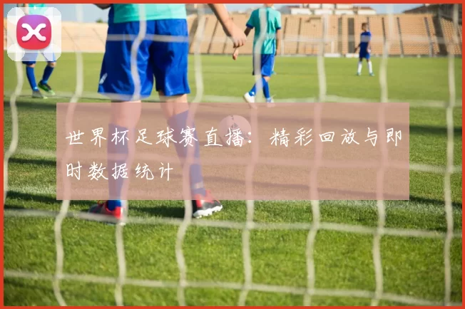 世界杯足球赛直播:精彩回放与即时数据统计