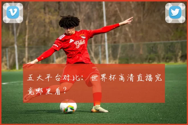五大平台对比:世界杯高清直播究竟哪里看?