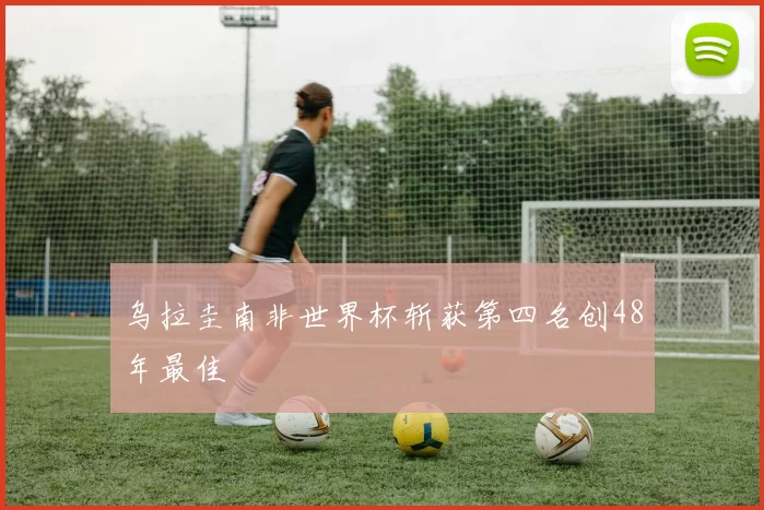 乌拉圭南非世界杯斩获第四名创48年最佳