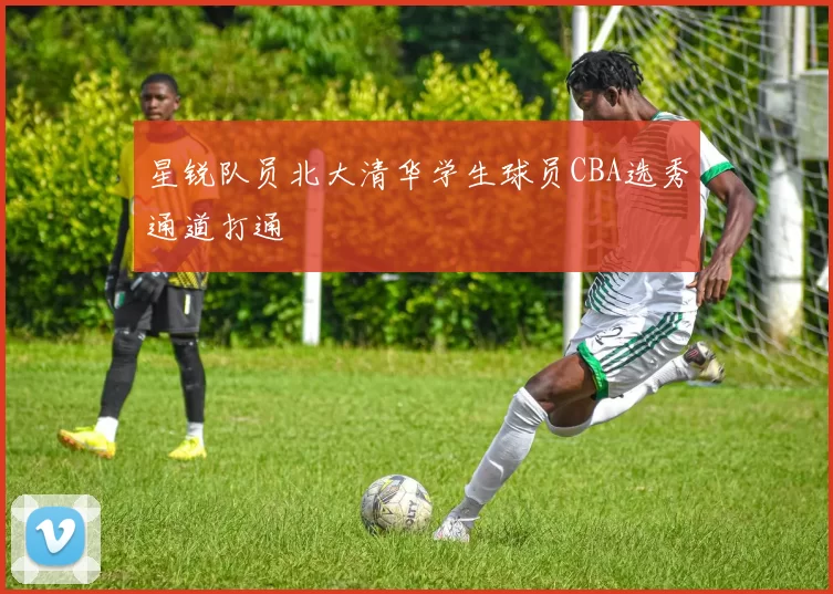 星锐队员北大清华学生球员CBA选秀通道打通
