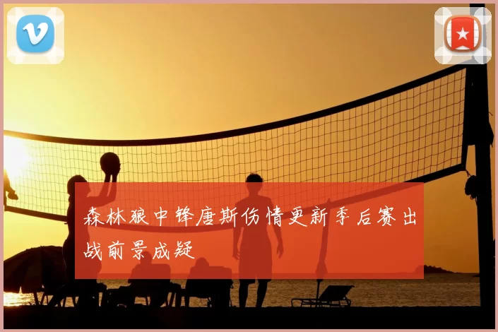 森林狼中锋唐斯伤情更新季后赛出战前景成疑